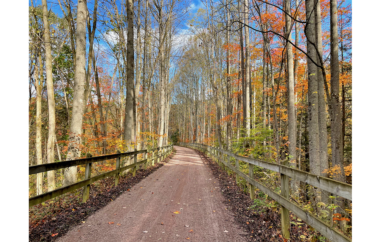 Image for Along the Great Allegheny Passage (150 mile bike trail from Pittsburgh to Cumberland, MD (Physical)